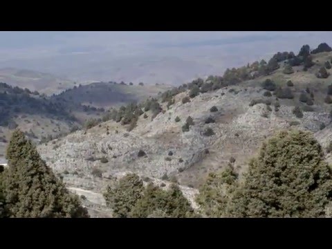 Видео: Мой родной Алтын-Топкан