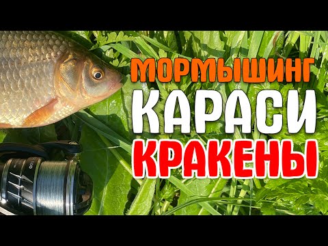 Видео: КАРАСИ - КРАКЕНЫ Дерут Фрикцион! #мормышинг #nanojig #стритфишинг #streetfishing #рыбалка #fishing