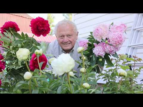 Видео: Органическое земледелие по Геннадию Распопову, результаты радуют.