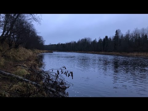 Видео: Ловля налима на реке Луга