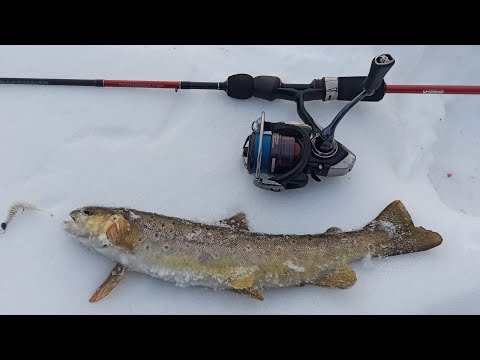 Видео: Ручьевая форель 🦈 Учимся ловить вместе 🤘