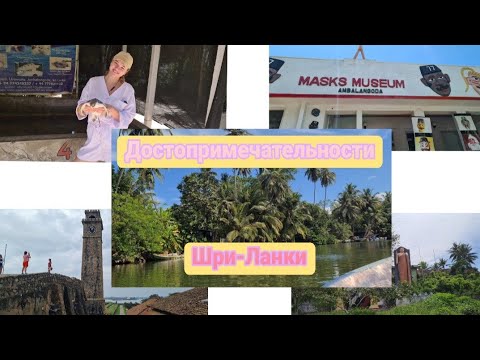 Видео: Экскурсия по достопримечательностям Шри-Ланки/16.03.2023🏝