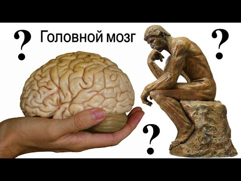 Видео: Мозг: сложные вопросы (рассказывают Александр Каплан и Александр Жданов)