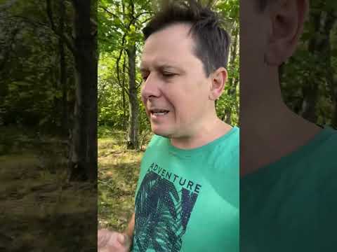 Видео: НЕ ПРОЩАЙТЕ ЭТО ПАРТНЕРУ НИКОГДА 🚫🙅🏻