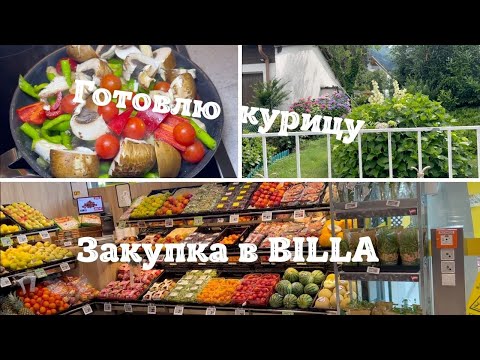 Видео: Почему так холодно летом? + мой поход в BILLA
