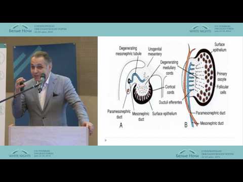 Видео: Рак яичников: от патогенеза к эффективному лечению