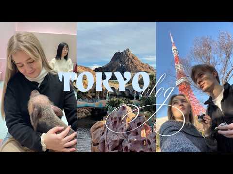 Видео: Чем заняться в Токио? | Odaiba | Mipig cafe | DisneySea | Большой Starbucks