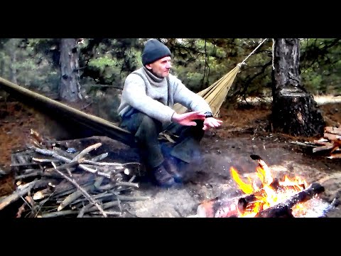 Видео: Ночевка в лесу не по бушкрафтовски  День, ночь