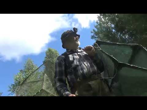 Видео: Можно ли есть сыктывкарский бородинский хлеб #2