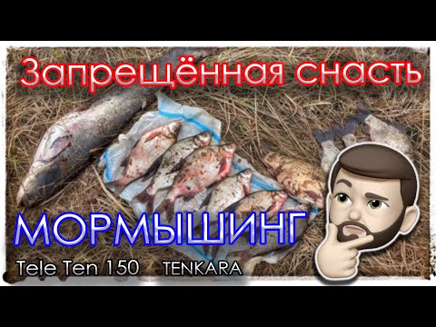 Видео: Мормышинг в нерестовый запрет. TELE TEN 150. Тенкара.