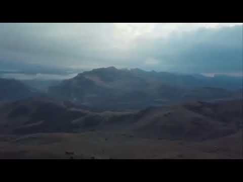 Видео: Вайн махкахь вирдаш хиларан бахьана хаьий хьуна?