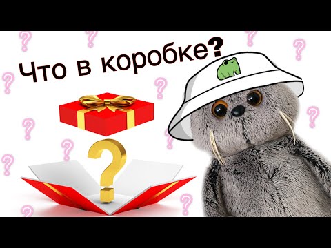 Видео: Распаковка посылки из магазина для Басиков | У Басика появилась подруга