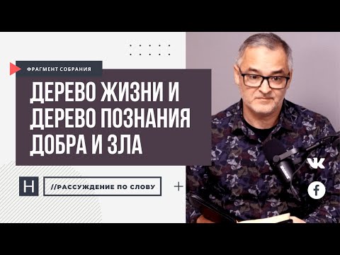 Видео: Дерево жизни и дерево познания добра и зла | Проповедь. Герман Бем