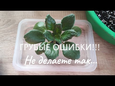 Видео: Эпизод 8. Грубые ошибки/ Детку так садить нельзя/ Разбираем ошибки. Часть 2-я