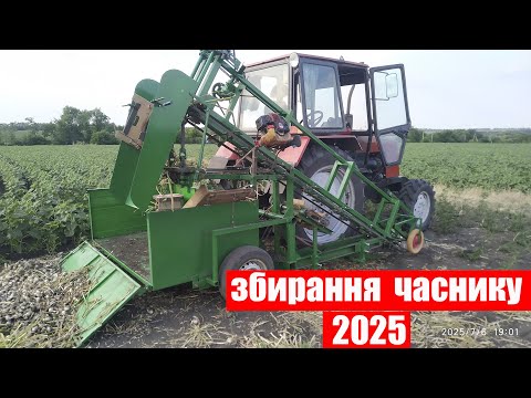 Видео: Збирання часнику комбайном🧄🧄🧄🚜🚜🚜