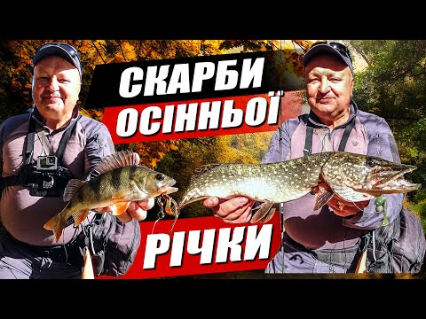 Видео: Як ловити на річці восени! Щука та окунь на спінінг Crazy Fish Versus VSR762LT