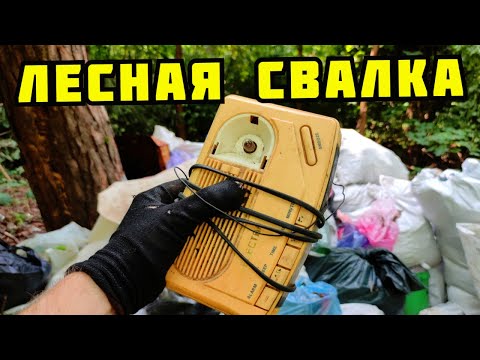 Видео: ИЩУ И ДОБЫВАЮ МЕДЬ, ЛАТУНЬ И АЛЮМИНИЙ В ЛЕСУ НА СВАЛКЕ. ПОИСК МЕДИ И МЕТАЛЛОЛОМА НА ДАЧАХ.