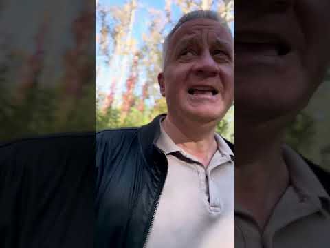 Видео: Чужие люди: первично и вторично