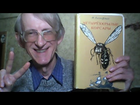Видео: Шмели Опылители в Саду: Вредители и Болезни Шмелей. СТРИМ-Карантин (3).