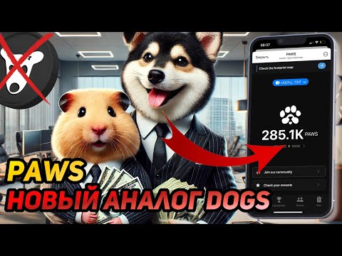 Видео: PAWS: СРОЧНО! РАЗДАСТ БОЛЬШЕ ЧЕМ NOTCOIN И HAMSTER KOMBAT? ПРОСТО ЗАБЕРИ ДРОП!