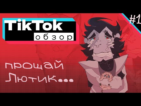 Видео: У Лютика новая семья… / TikTok ОБЗОР /