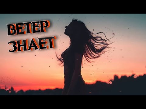 Видео: Alex Docent - Ветер знает [Браво кавер]