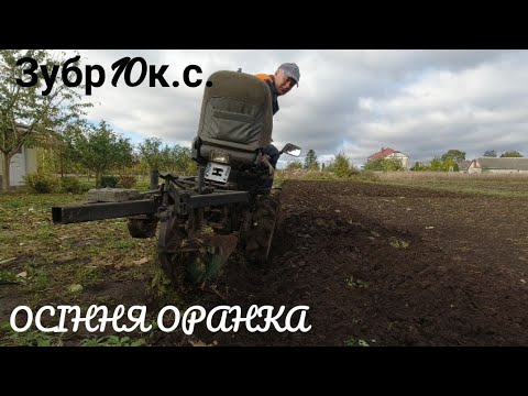 Видео: Оранка чорнозему / Витрата палива мототрактора Зубр 10к.с.