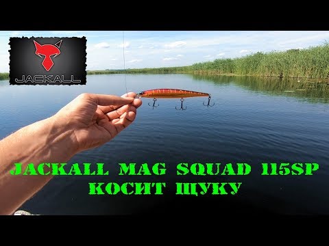 Видео: Jackall Mag Squad 115 SP косит щуку