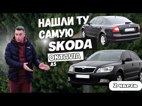 Видео: Не битая Octavia А5 за 8к, такое реально ? Часть 2