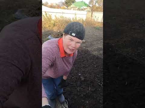 Видео: КУБАНЬ ВЫСЕЛКИ ТВ. в прямом эфире!