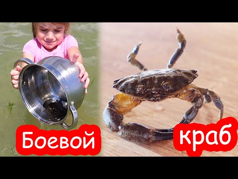 Видео: VLOG Алиса испугалась краба
