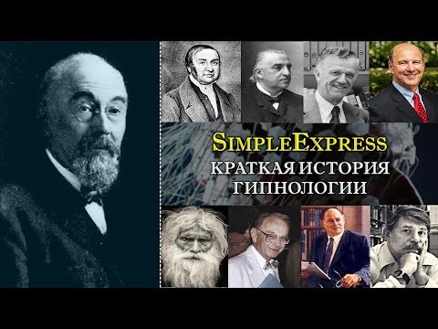 Видео: Краткая история гипнологии: от магнетизма к социокогнитивному подходу и теории неодиссоциации