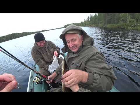 Видео: Рыбалка На Спиннинг.Лоухский Район Северной Карелии