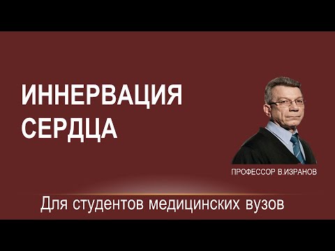 Видео: Иннервация сердца