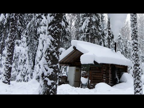 Видео: Живу в таёжной избе. Жарю мясо, топлю баню.