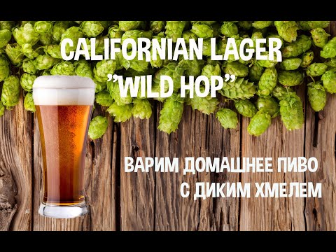 Видео: Варим домашнее пиво с диким хмелем. Californian Lager "Wild Hop".