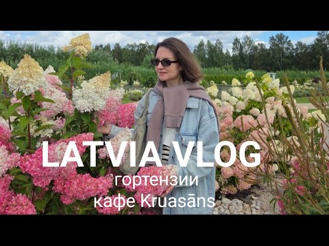 Видео: LATVIA VLOG. Куда съездить в сентябре, сад с гортензиями, кафе Kruasāns, Salaspils, Ikšķile 🌸