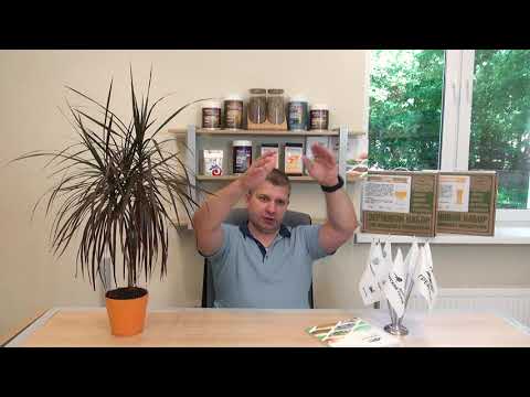 Видео: Ответы на вопросы о пивоварении в прямом эфире_3