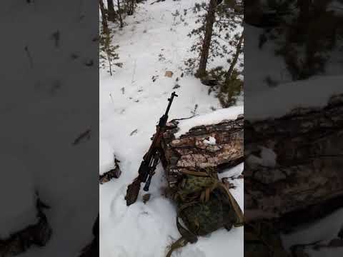 Видео: скс ланкастер част 2 рассказ об охоте с ним