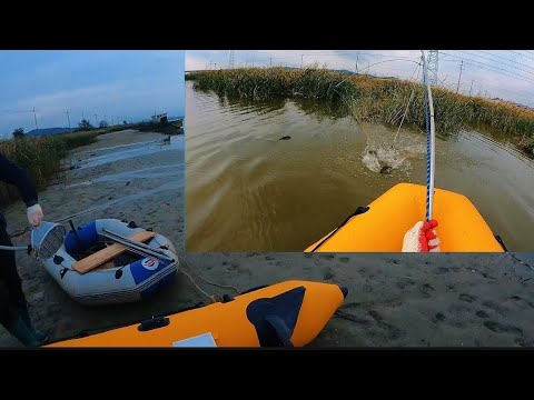 Видео: Осенние огромные караси на паук подъёмник. #낚시 #fishing #рыбалка