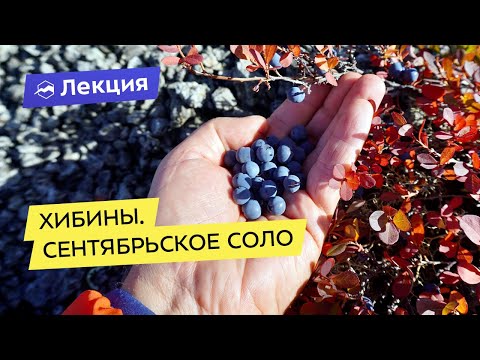 Видео: Хибины. Сентябрьское соло