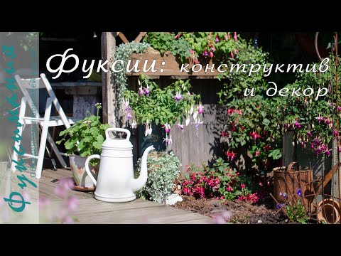 Видео: Кронштейны, подвесы, опоры и другой конструктив для фуксий / @Qgarden