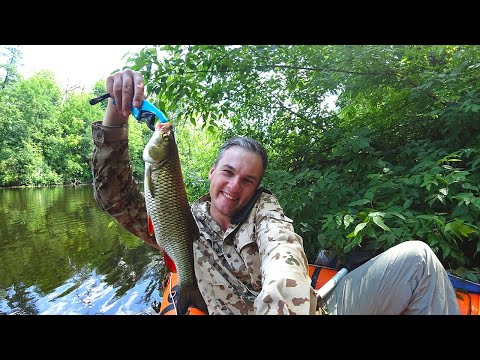 Видео: Трофей заставивший сердце биться чаще. Когда слова не нужны (ч. 2).