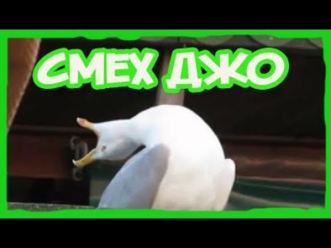 Видео: ВЕСЁЛАЯ НАРЕЗОЧКА СТРИМА СОДИКА