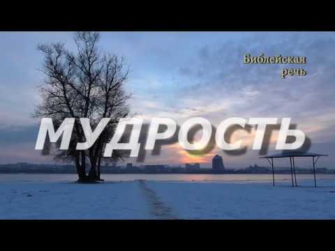 Видео: У мудрого глаза его в голове его!