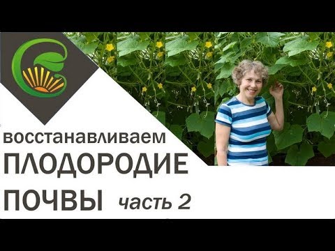 Видео: Как я восстановила плодородие почвы. Часть 2