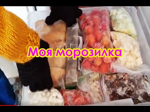 Видео: Обзор содержания моей морозильной камеры 2021, что и как я замораживаю