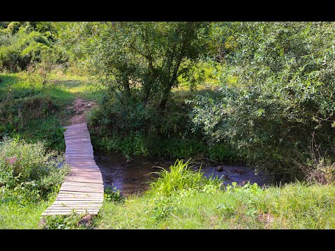 Видео: Каньонинг по река Чернелка