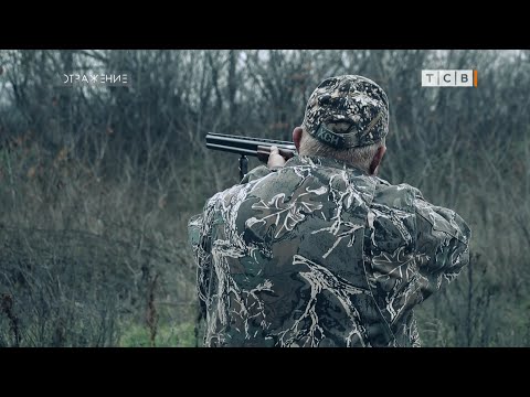 Видео: Охота на шакала. Грозит ли нам нашествие?