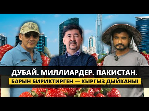 Видео: Жаңыча ойлонгон, тажрыйбага таянган, келечекке ишенген дыйкан!